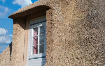 Tilgate thatch roof disadvantages